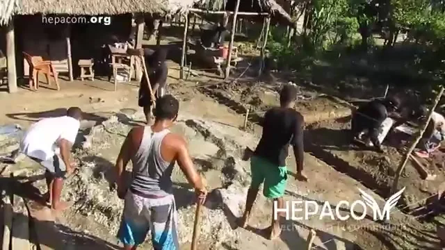 The community digging and preparing the ground